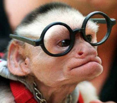 larrykinglive.jpeg