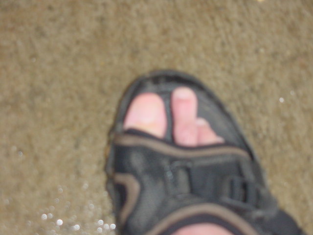 toe.jpg