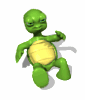 turtle_stuck_on_back_md_wht.gif
